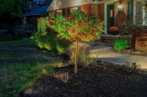 BOLD Strata M Medium Low Voltage LED Spotlight – Black Anodized Aluminum for Outdoor Accent Lighting - Image 4