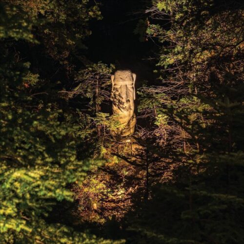 BOLD Strata M Medium Low Voltage LED Spotlight – Black Anodized Aluminum for Outdoor Accent Lighting - Image 5