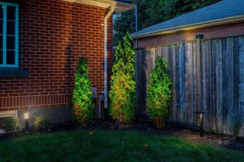 BOLD Strata M Medium Low Voltage LED Spotlight – Black Anodized Aluminum for Outdoor Accent Lighting - Image 9