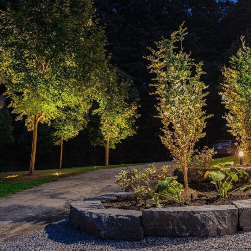 BOLD Strata M Medium Low Voltage LED Spotlight – Black Anodized Aluminum for Outdoor Accent Lighting - Image 11