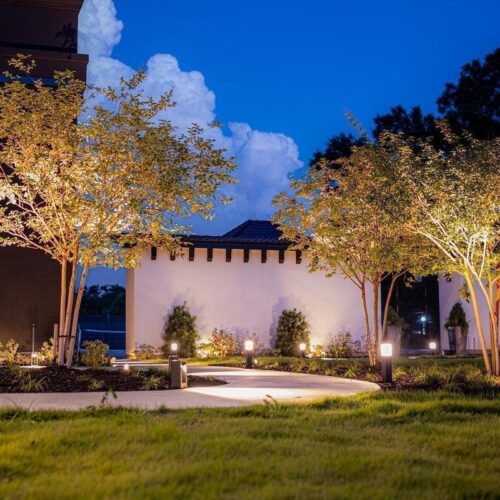 BOLD Strata M Medium Low Voltage LED Spotlight – Black Anodized Aluminum for Outdoor Accent Lighting - Image 12