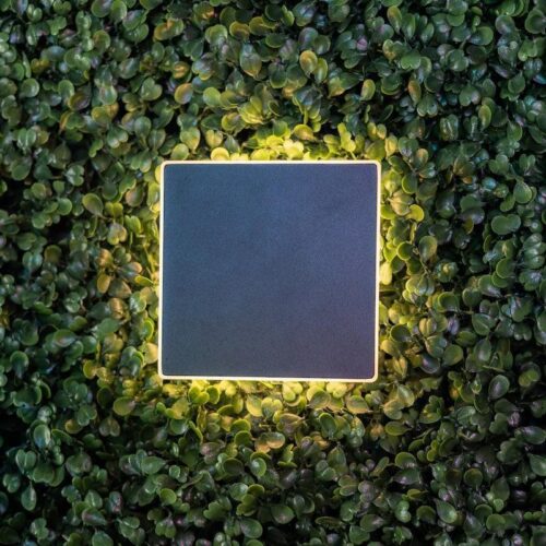 cube-backlit-4-square-led-wall-light-modern-design BOLD Cube Backlit 4 Low Voltage LED Wall Light – 100mm (4-Inch) Square, Black Polycarbonate with 360° Glow - Image 7