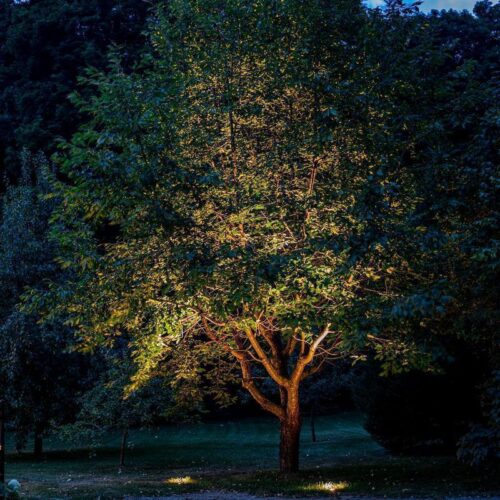 BOLD Starke 130mm (5-Inch) Low Voltage LED Recessed Well Light – Black Anodized Aluminum - Image 4